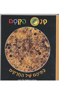 פנס הקסם: בתיהם של חרקים
