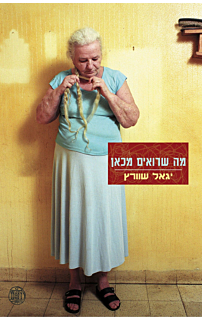 מה שרואים מכאן‏