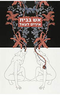 אש בבית
