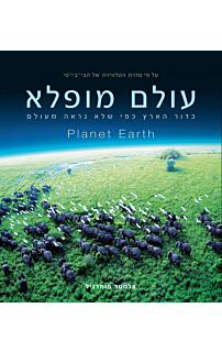 עולם מופלא