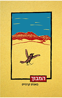 המבוך‏