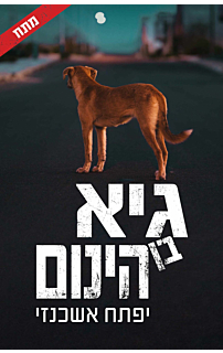 גיא בן הינום