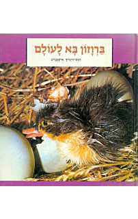  ברווזון בא לעולם