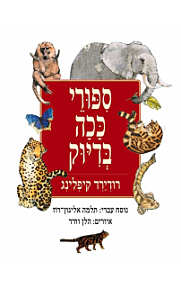 ספורי ככה בדיוק 
