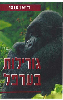 גורילות בערפל