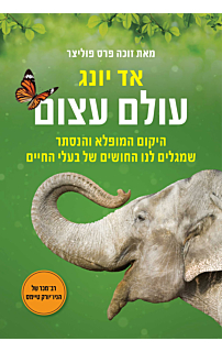 עולם עצום